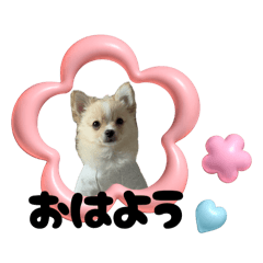 ran_20250505101650