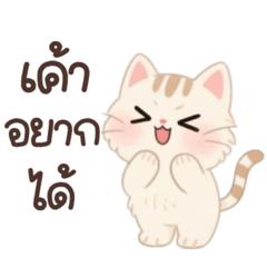 เหมียวน้อยน่ารักสุดอ้อน