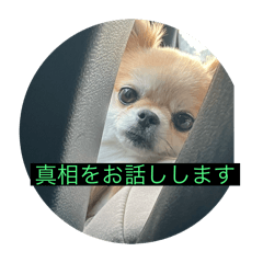 u_20250505113145