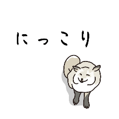 K_20250505120451