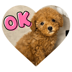 kinako_20250505124030