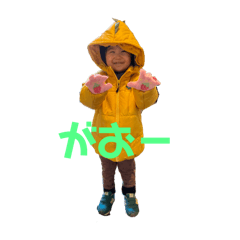 yoshi_20250505124605