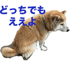 kaz_20250505130855