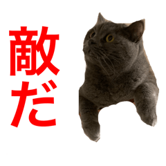 pei_20250505123335