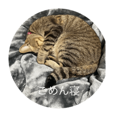 Kiki_20250505132635