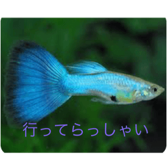 soo_20250505133154