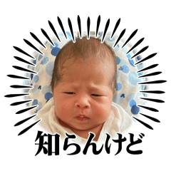 R_20250505132315