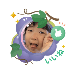 hana202504