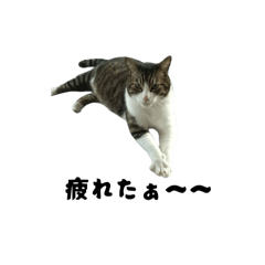 0430tetsu