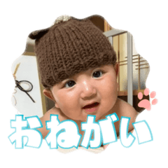 aoi_20250505145051