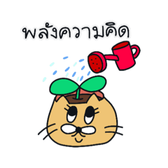 a studying mooncat.(Thai)