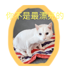 Naomi_20250504122556