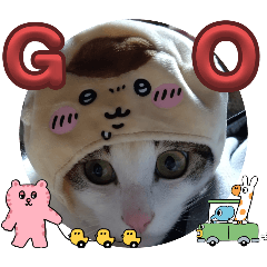 Ringo_20250505104852