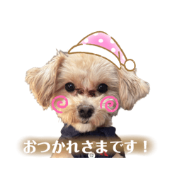 SUZU_20250505114135