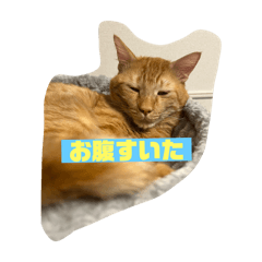 kkk1217uru_20250505163121