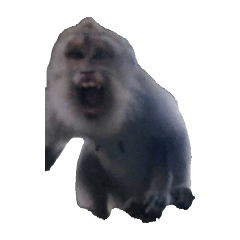 shimu_20250505141441