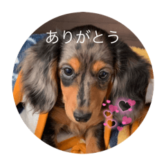 ao_20250505052938