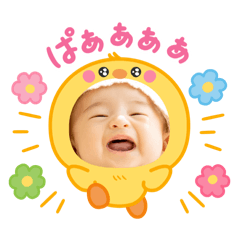 pupu_20250505150356