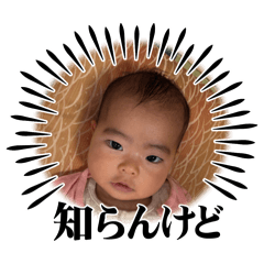 Doara_20250505182104