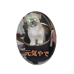 yukio_20250505165817