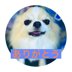 Haru_20250505165310
