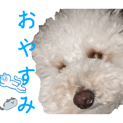 nana_20250505170233