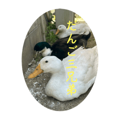 famitamatora_20250505193321