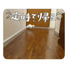 nico_20250505222639