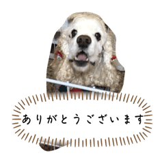 NONO_20250505200849