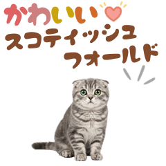 CAT GOOD Sticker14
