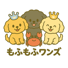 Fluffy Toy Poodles Daily Life 2