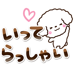 Toy poodle (White)4