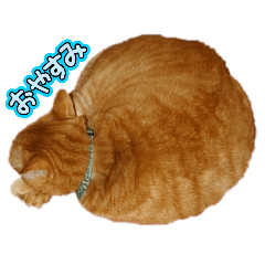 SS_20250505203512