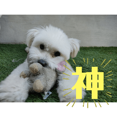 mona_20250505203556