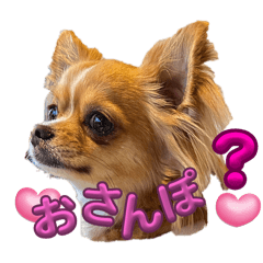 yuki_20250505210713