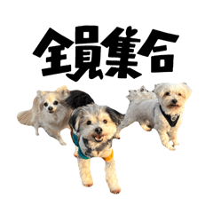 on_20250505210908