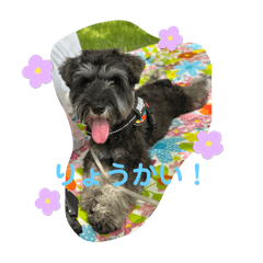 kaori_20250505211500