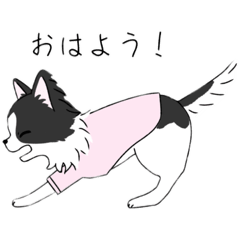 m_20250505214248