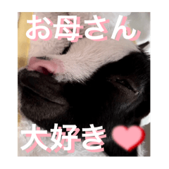 chirori_20250505224240