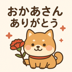 豆柴の母の日ラブ