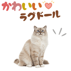 CAT GOOD Sticker20