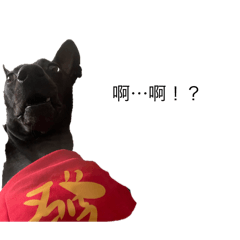 豆豆的奇幻世界1