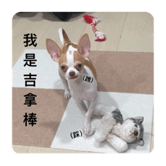 吉拿棒是我