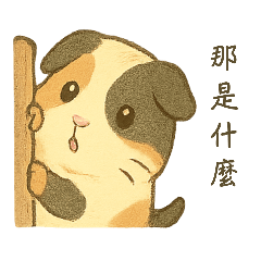 萌萌竺鼠