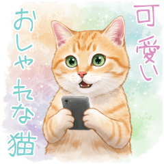 20250505CAT