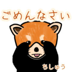 Chishuu's lesser panda
