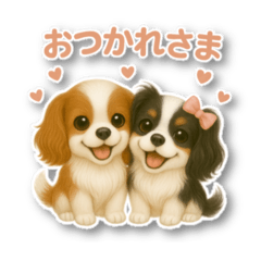 Rui_20250506030044
