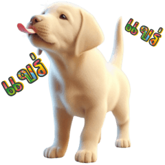 Cute Little Labrador retriever