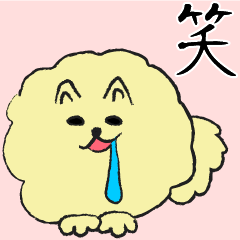 A carefree Pomeranian.