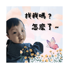 編號257的安舞絲